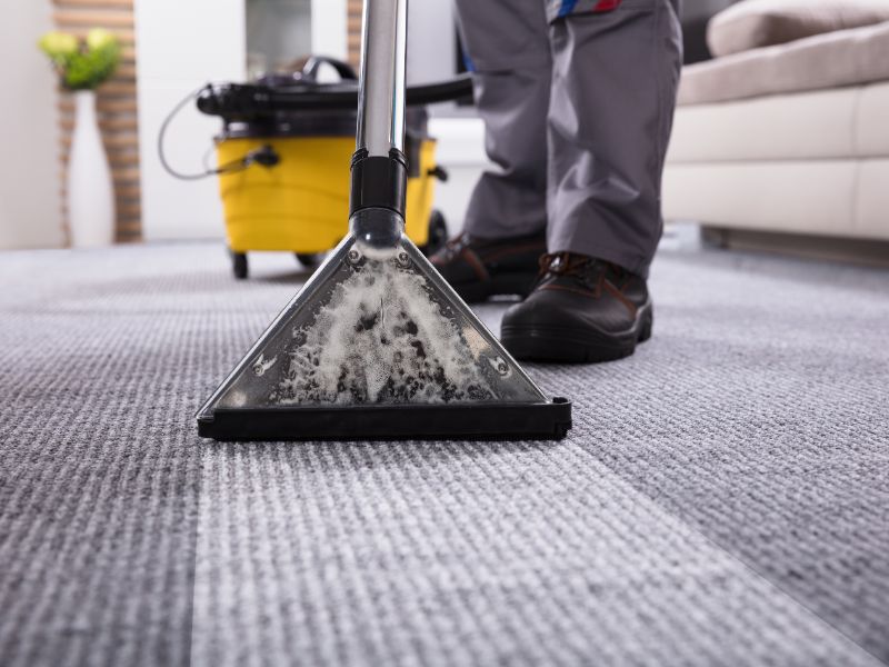 Professional steam cleaning living room carpet
