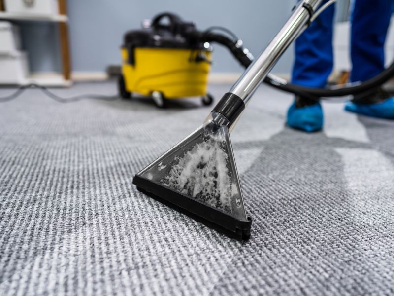 Technician cleaning pet stains